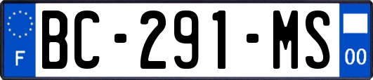 BC-291-MS
