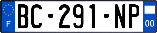 BC-291-NP
