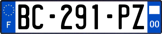 BC-291-PZ