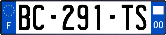 BC-291-TS