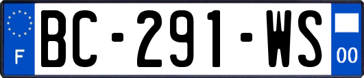 BC-291-WS
