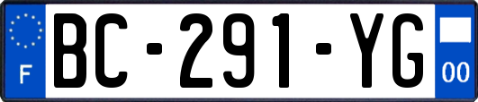 BC-291-YG