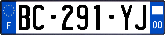 BC-291-YJ