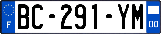 BC-291-YM