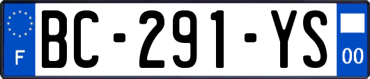 BC-291-YS