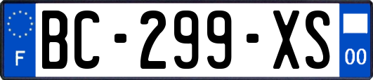 BC-299-XS