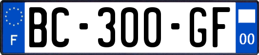 BC-300-GF