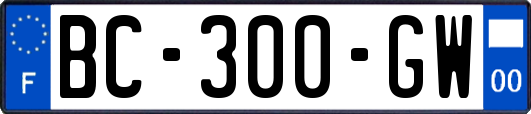 BC-300-GW