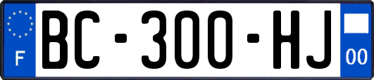 BC-300-HJ