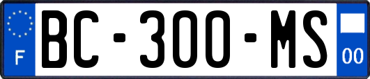 BC-300-MS