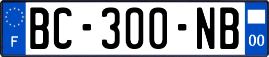 BC-300-NB