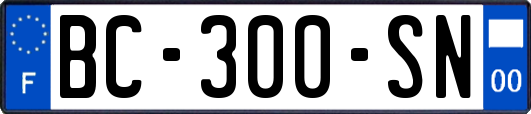 BC-300-SN