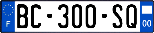 BC-300-SQ