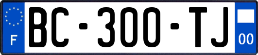 BC-300-TJ