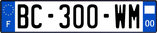 BC-300-WM