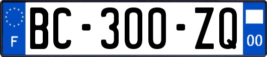 BC-300-ZQ