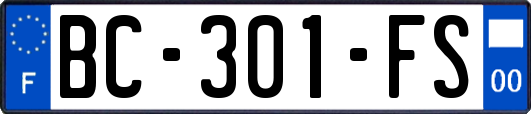 BC-301-FS
