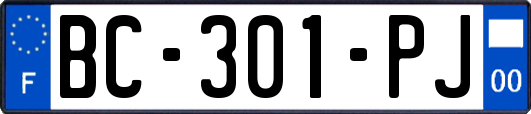 BC-301-PJ
