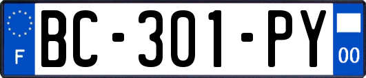 BC-301-PY