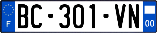 BC-301-VN