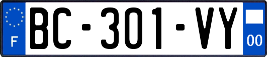 BC-301-VY