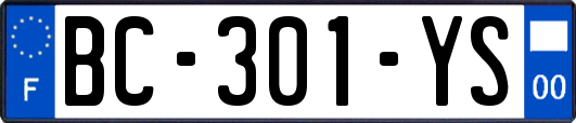 BC-301-YS