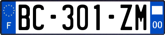 BC-301-ZM