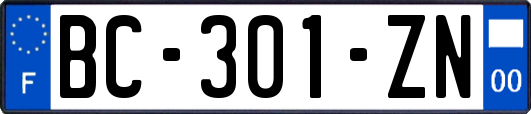 BC-301-ZN