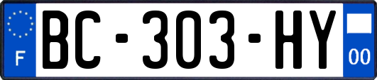 BC-303-HY