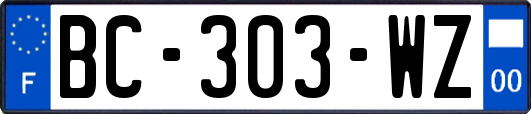 BC-303-WZ