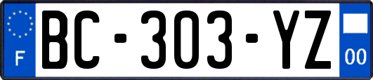 BC-303-YZ