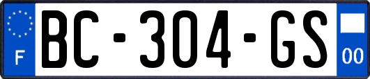 BC-304-GS
