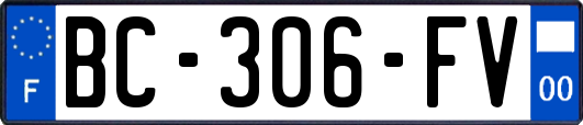 BC-306-FV