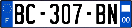 BC-307-BN