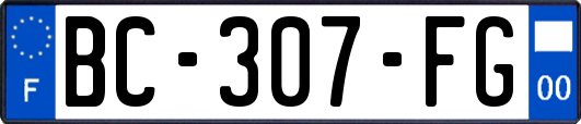 BC-307-FG