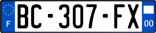 BC-307-FX