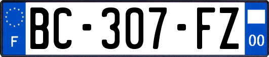 BC-307-FZ