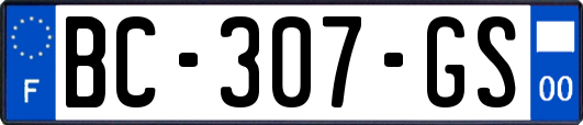 BC-307-GS