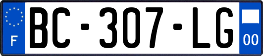 BC-307-LG