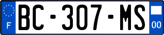 BC-307-MS