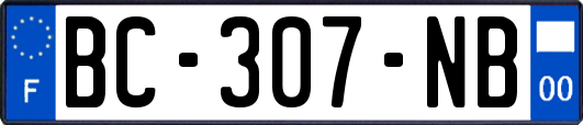 BC-307-NB