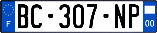 BC-307-NP