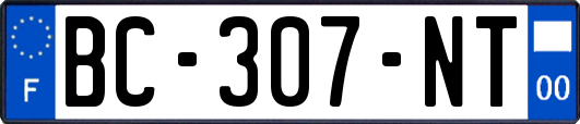BC-307-NT