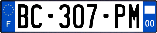 BC-307-PM