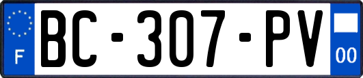 BC-307-PV