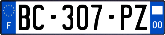 BC-307-PZ