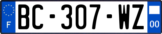 BC-307-WZ