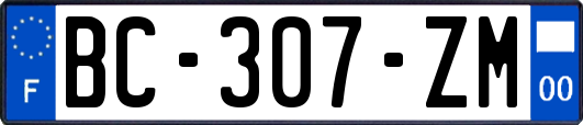 BC-307-ZM