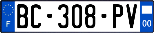 BC-308-PV