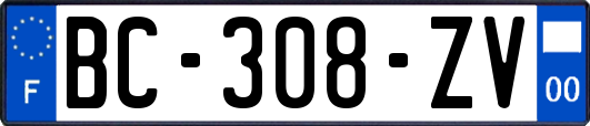 BC-308-ZV